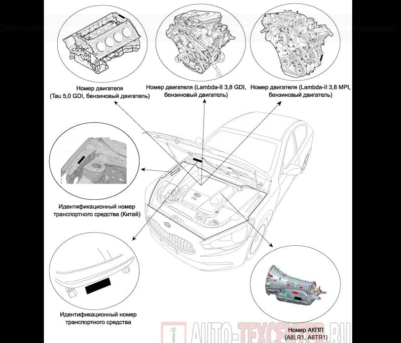 Номер двигателя на Kia Quoris